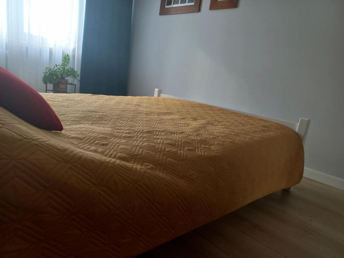 Mieszkanie Na Staszica W Gizycku Giżycko Exteriör bild
